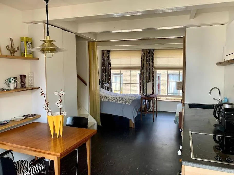 Roof Terrace Bnb In De Jordaan Apartment Amsterdam